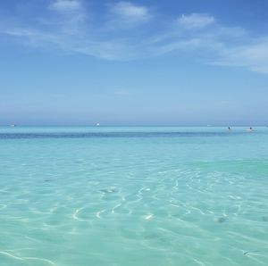 Meet your Posher, Rita